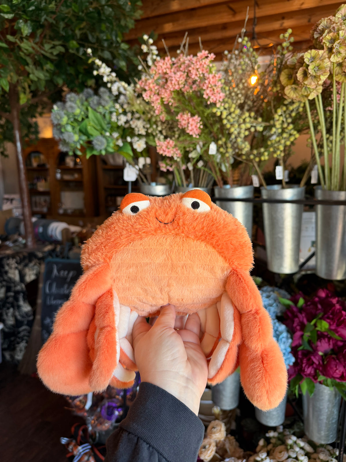 Pinchsnap Crab