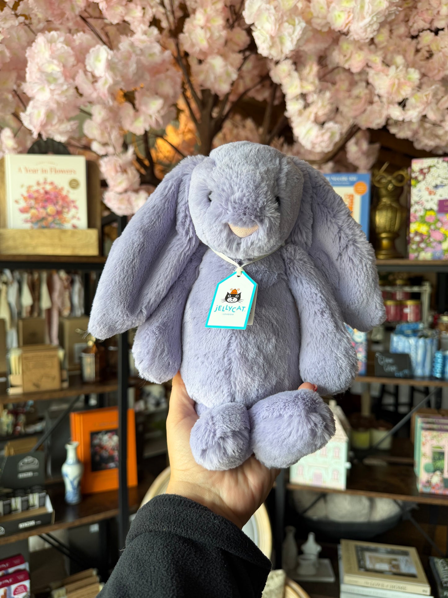 Bashful Viola Bunny