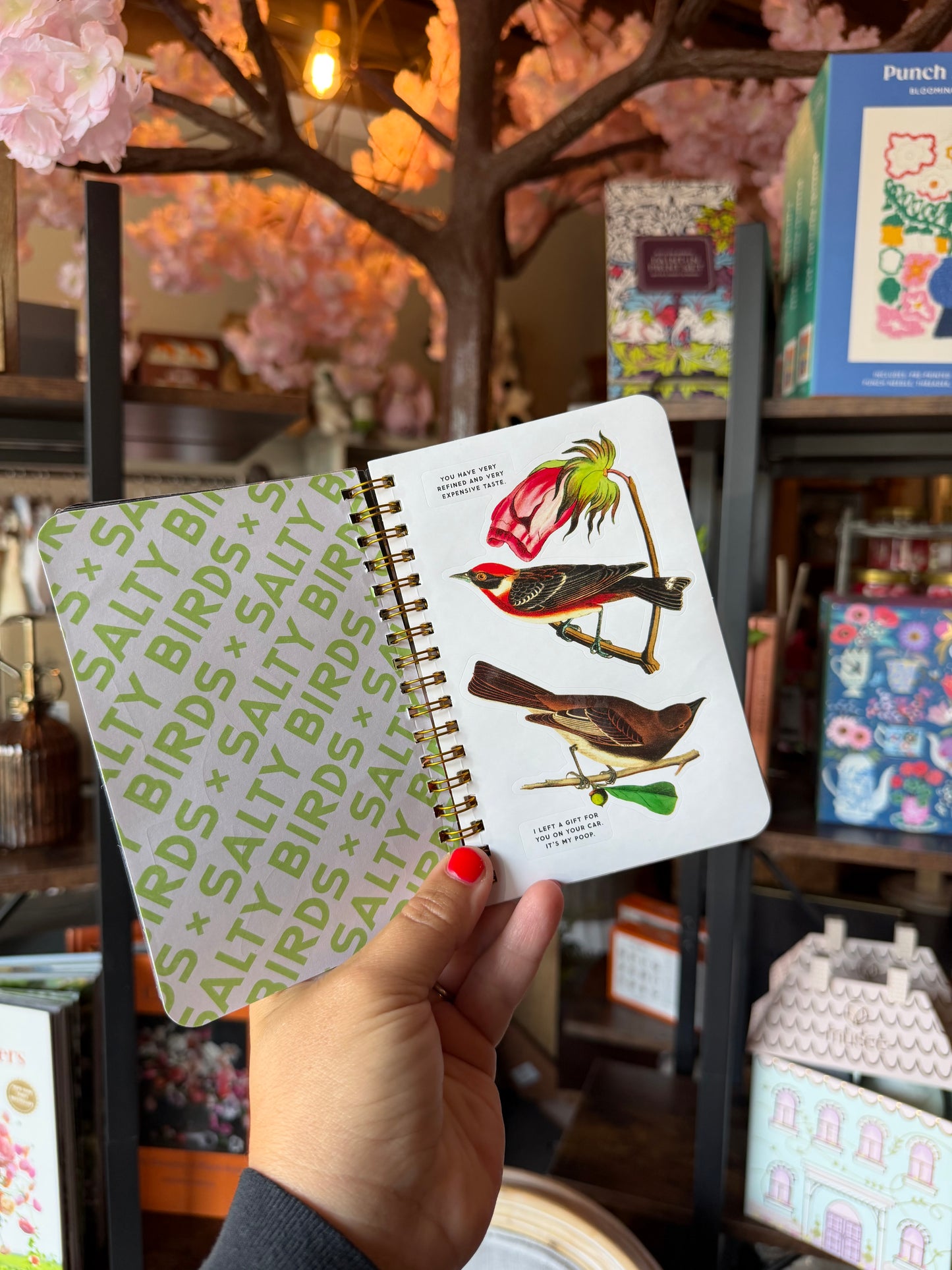 Salty Birds Sticker Book