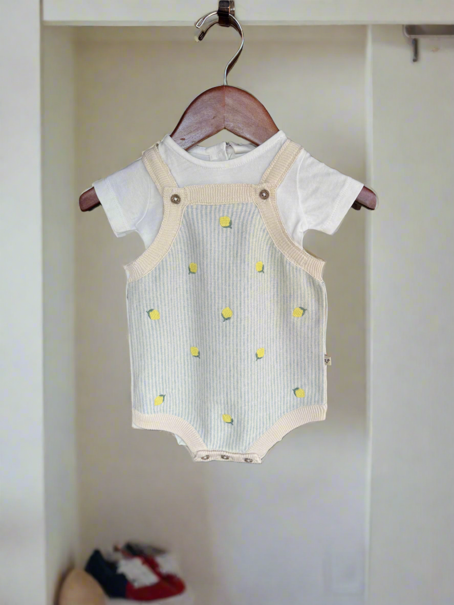 Lemon Stripe Embroidered Knit Baby Romper Set