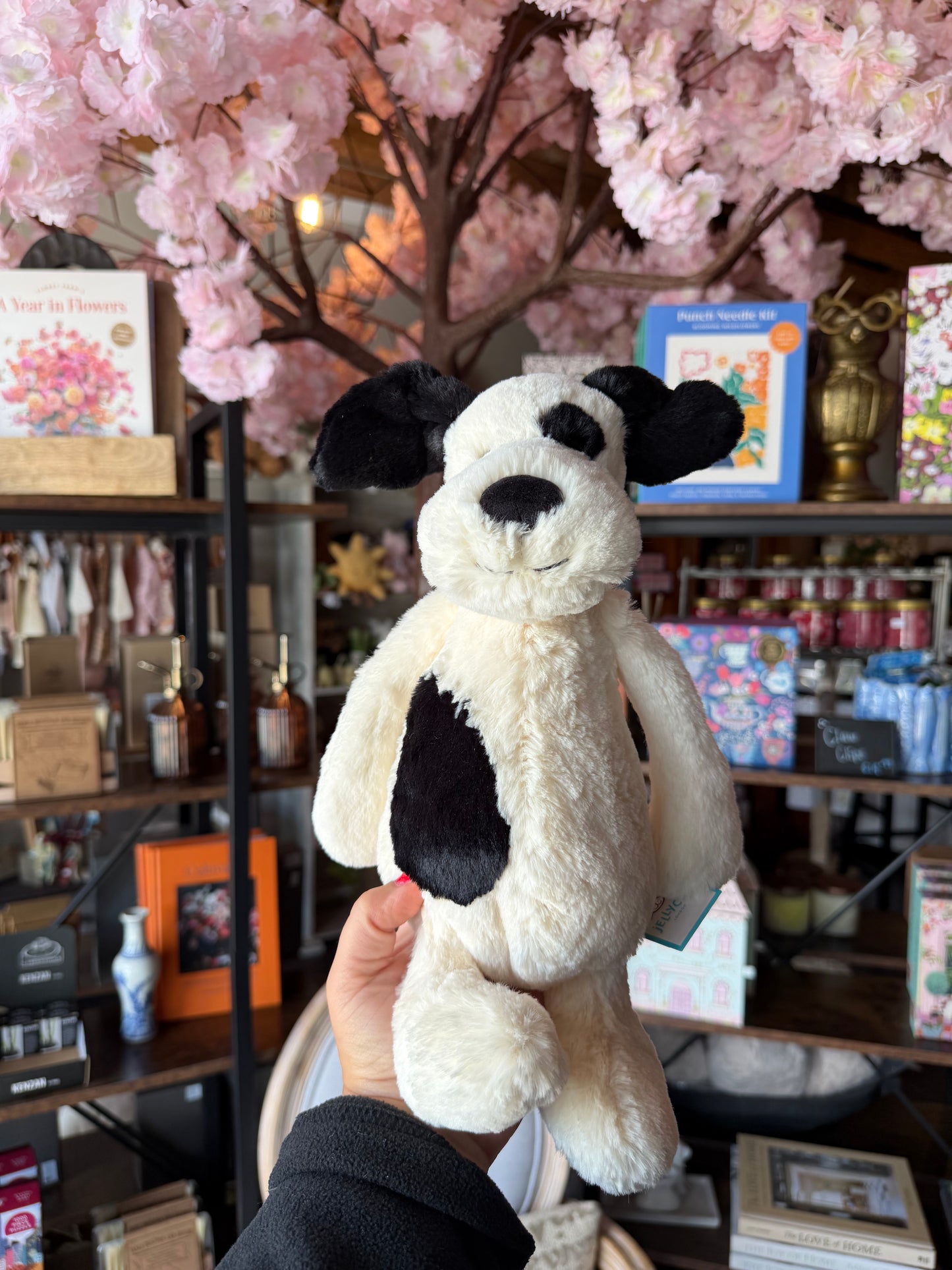 Bashful Black & Cream Puppy