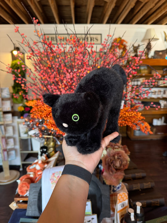 Spookiepaws Cat