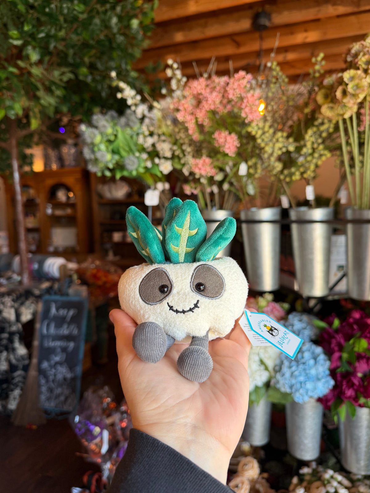Amuseable Skull Planter