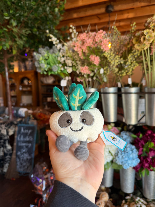 Amuseable Skull Planter