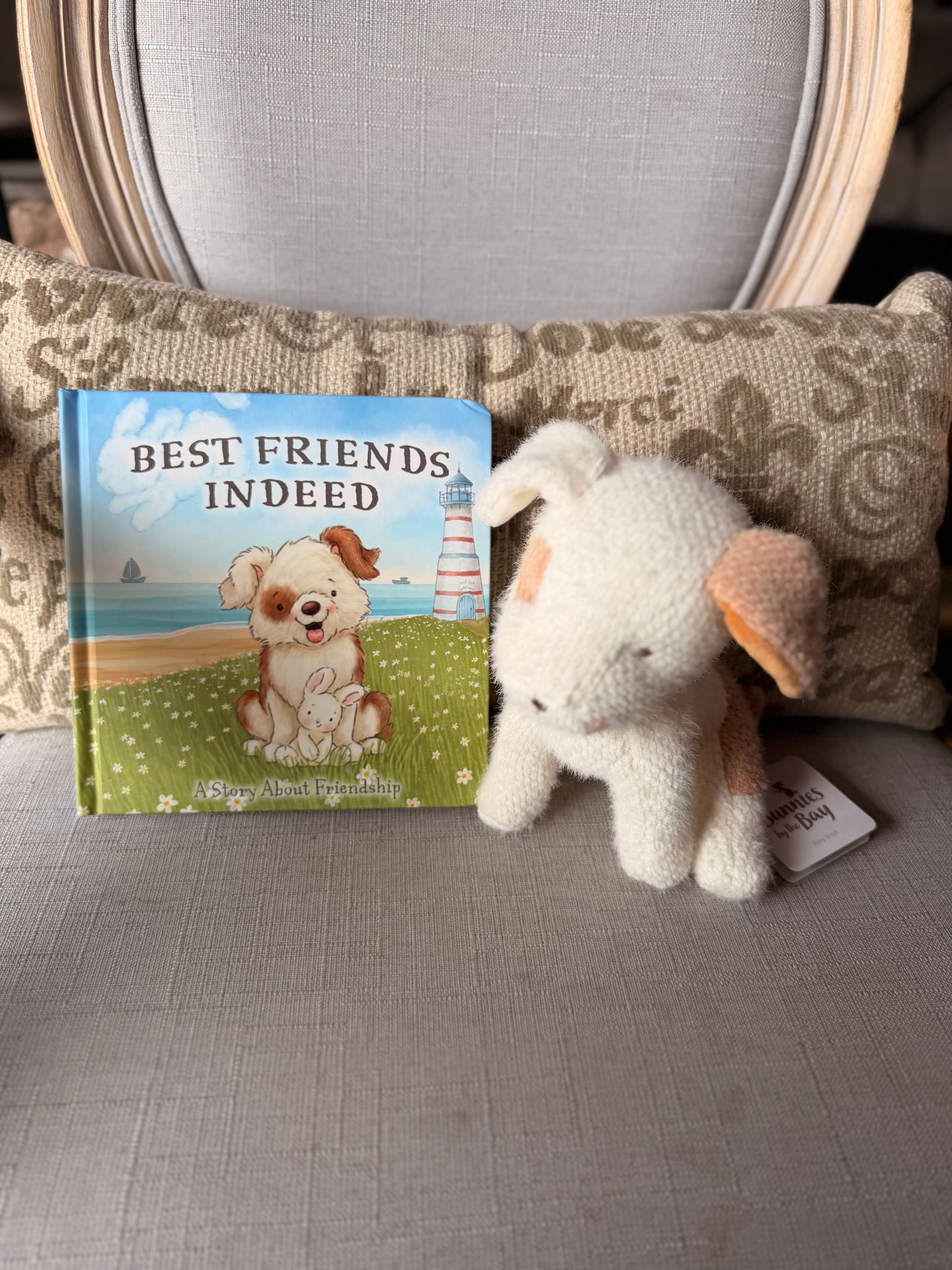 Best Friends Indeed Book & Puppy