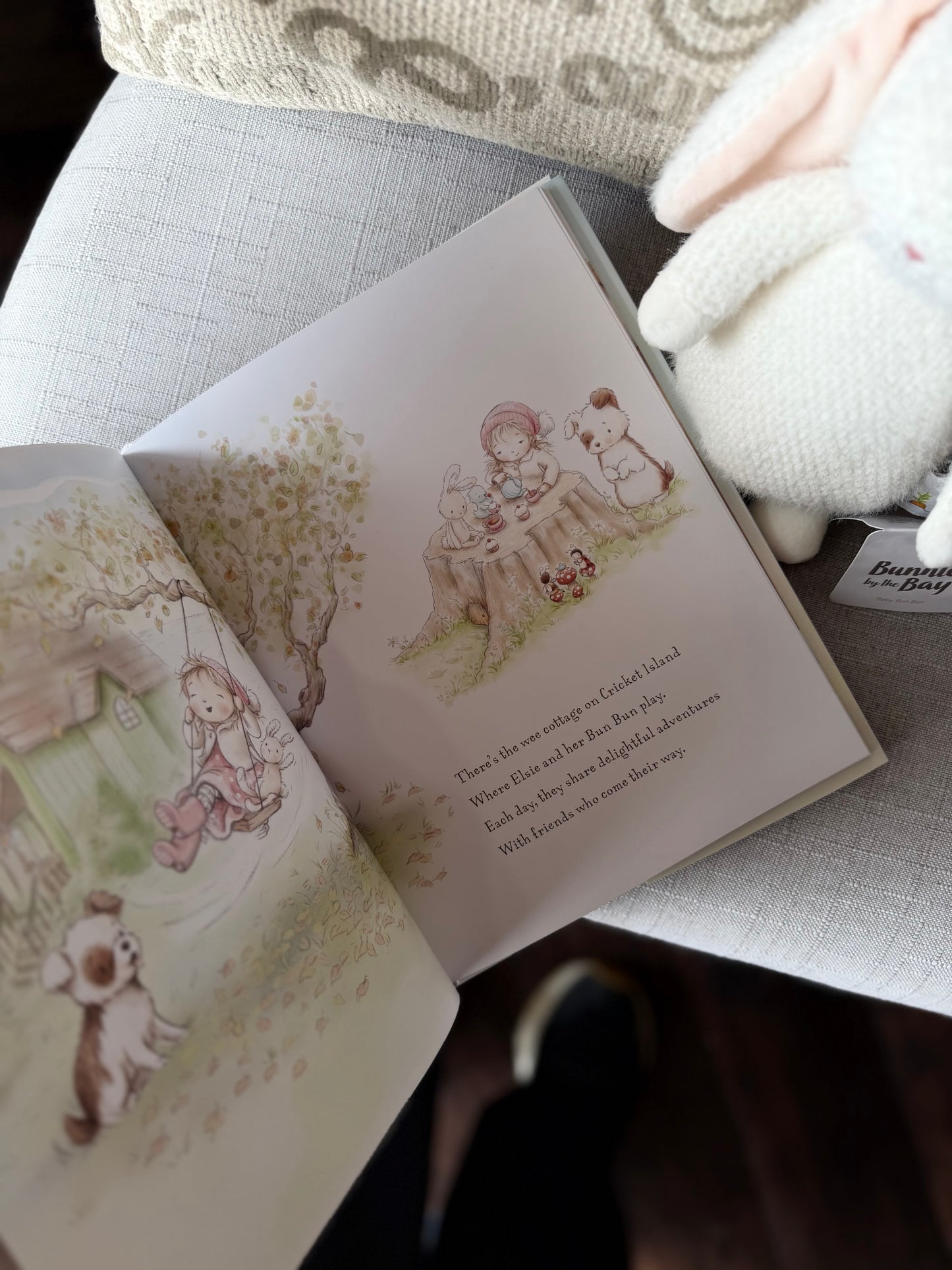 Baby Bun bun Book and Plush
