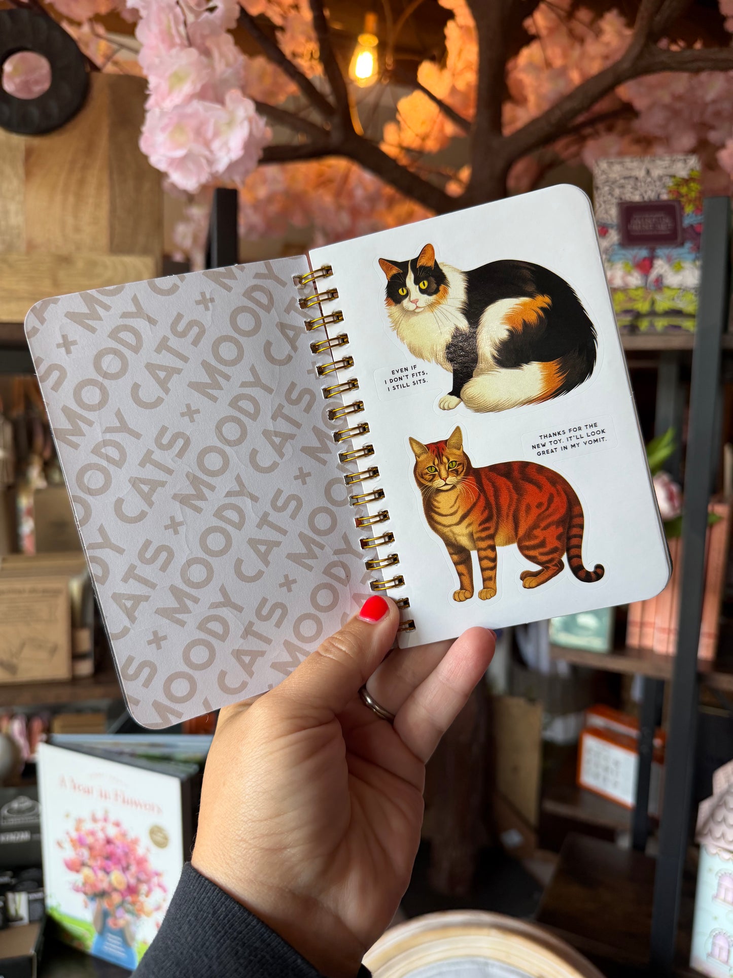 Moody Cats Sticker Book