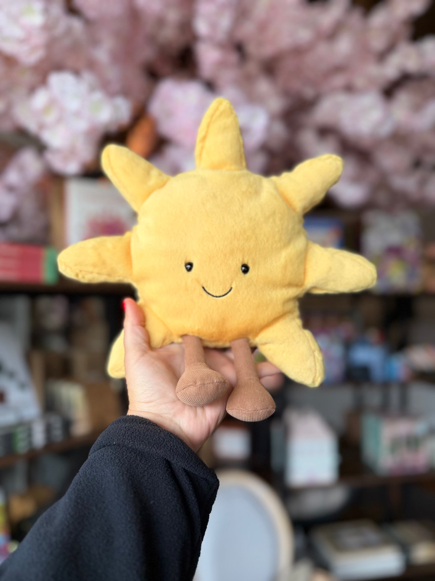 Amuseable Sun