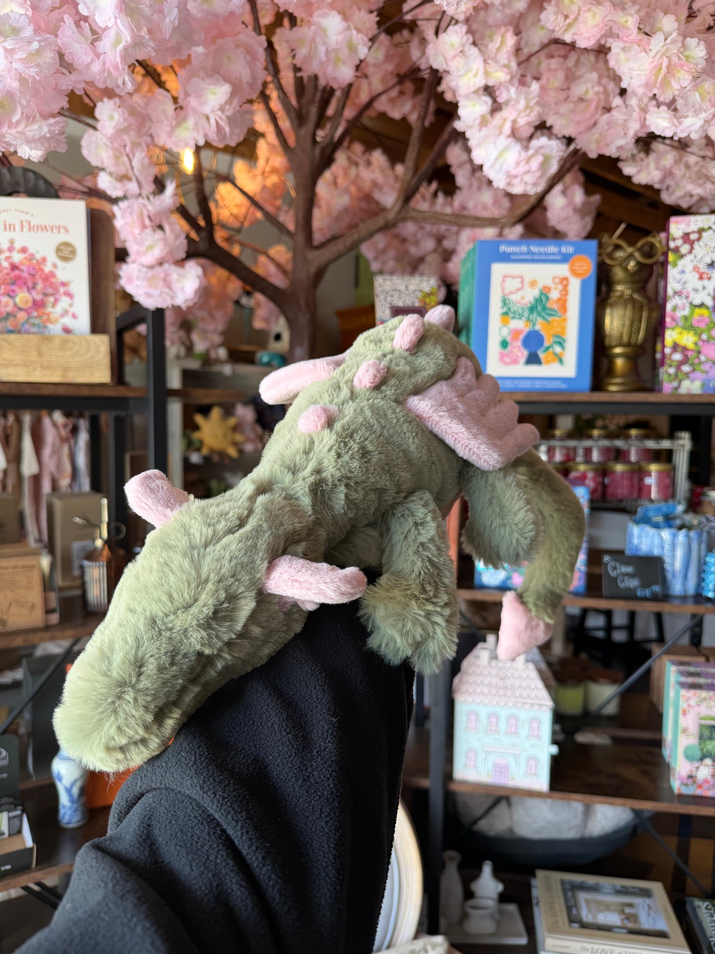 Malachy Dragon