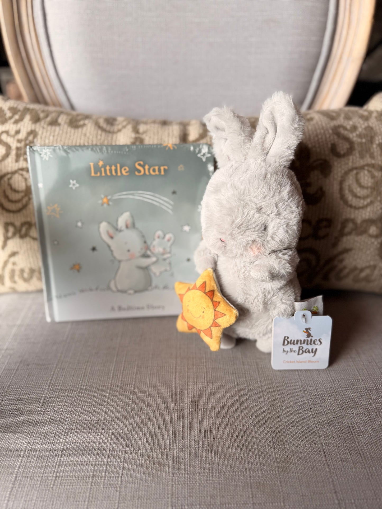 Little Star Book & Bunny