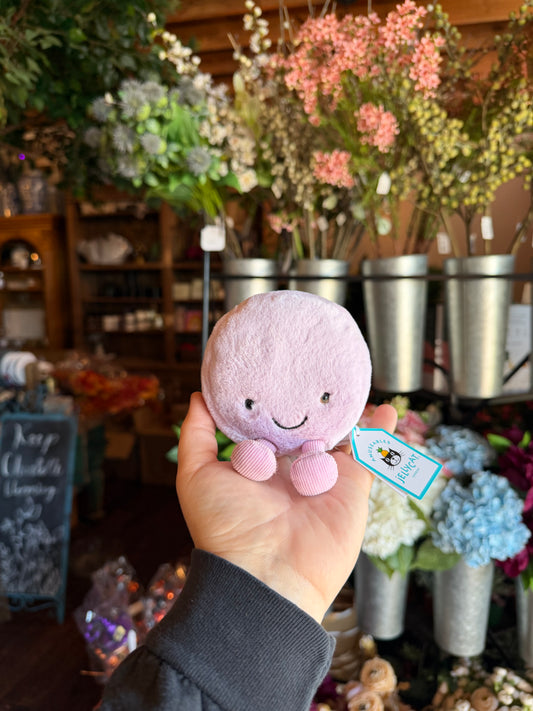 Amuseable May Macaron