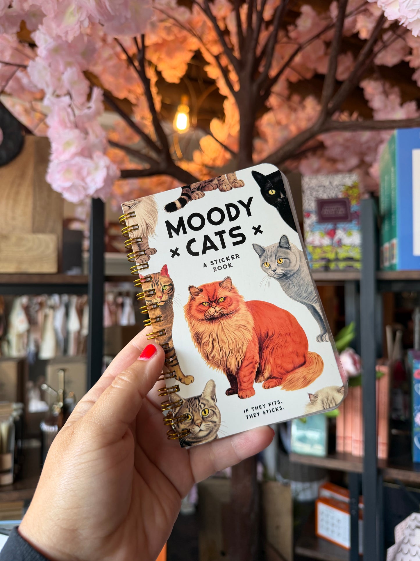 Moody Cats Sticker Book