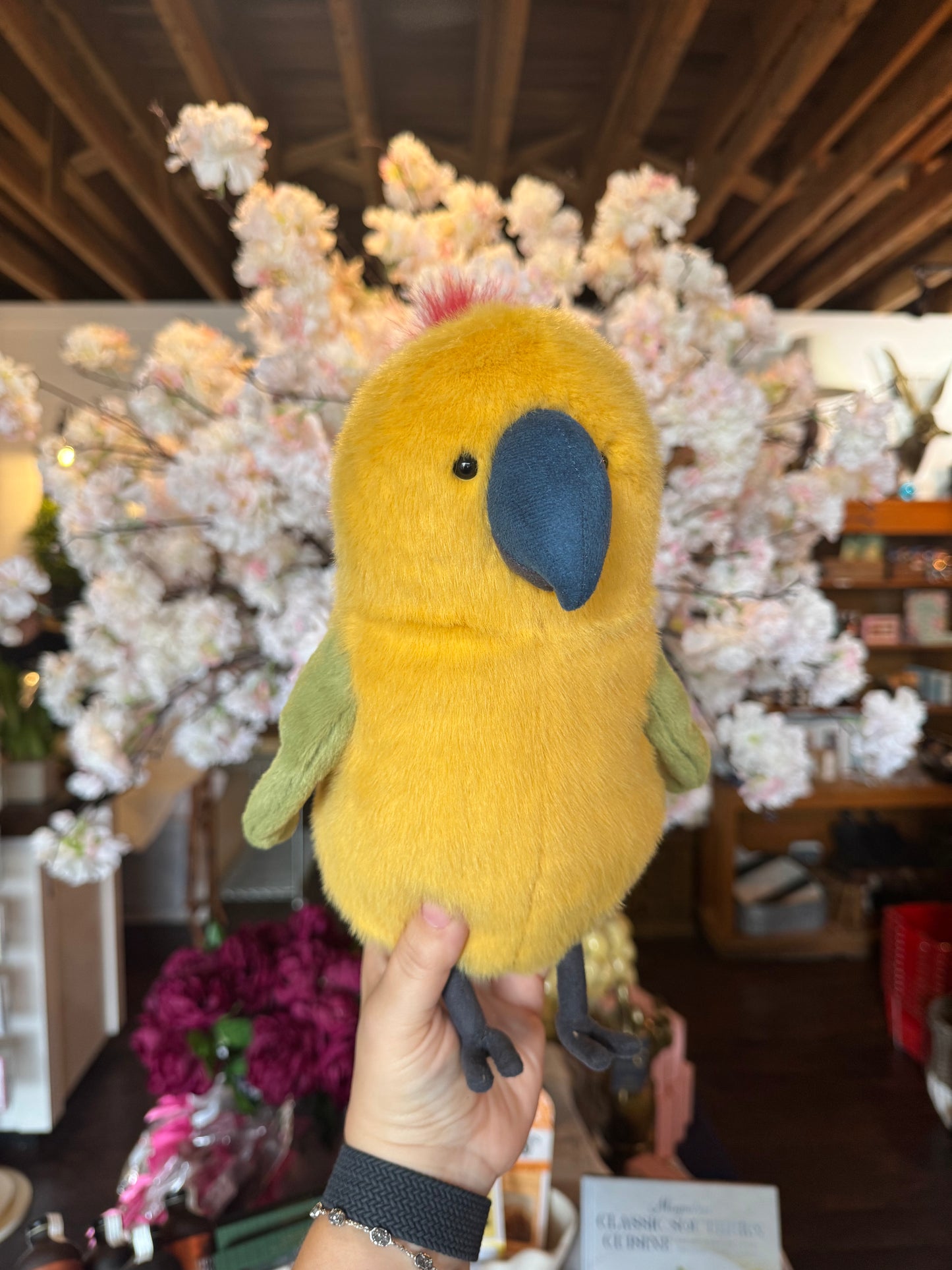 Budgeby Parrot